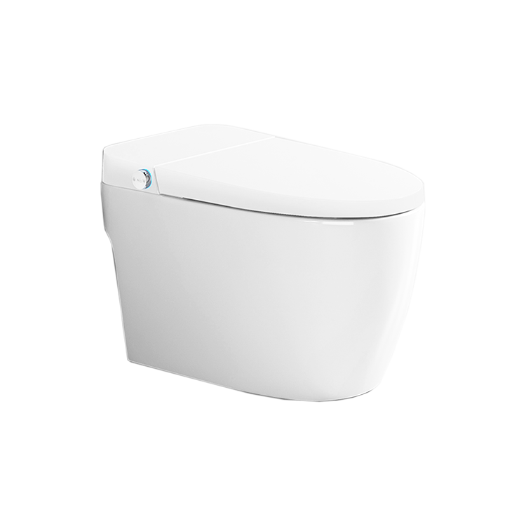 RSD-ZW602ZJ智能马桶