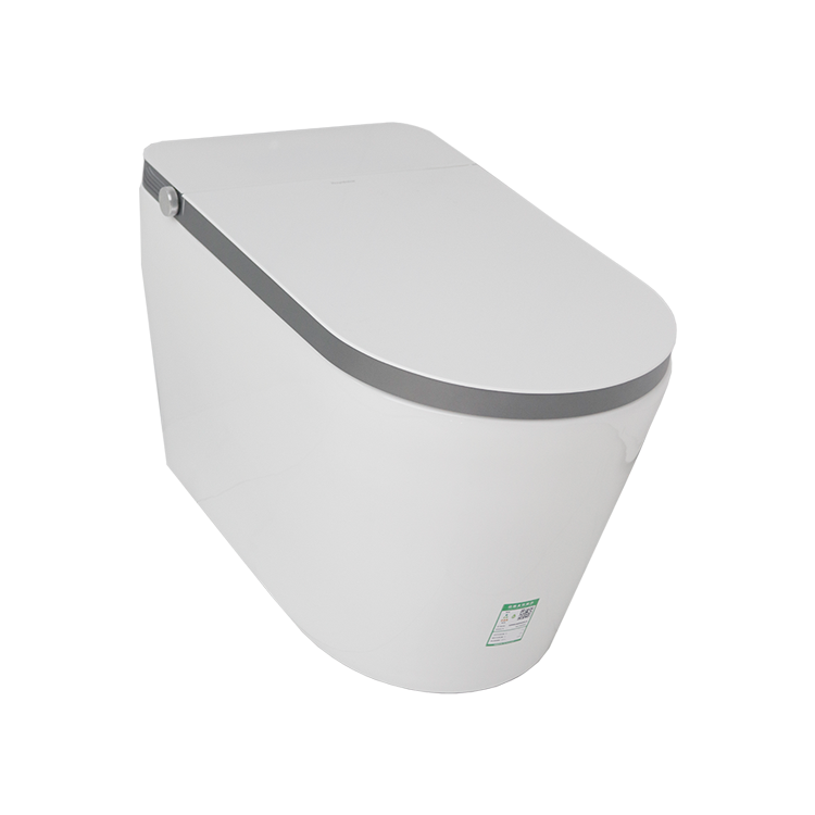 RSD-ZW603ZJ智能马桶