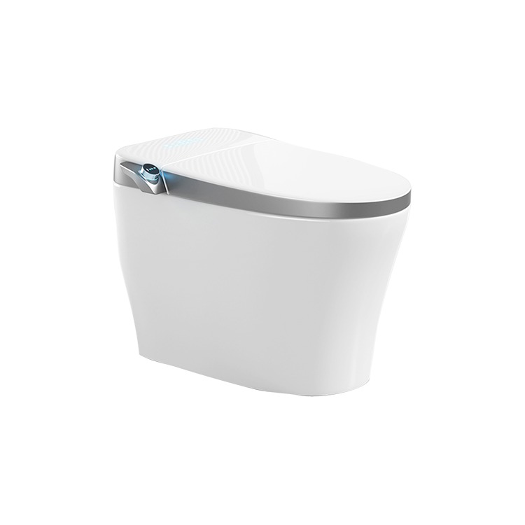 RSD-ZW605ZJ智能马桶