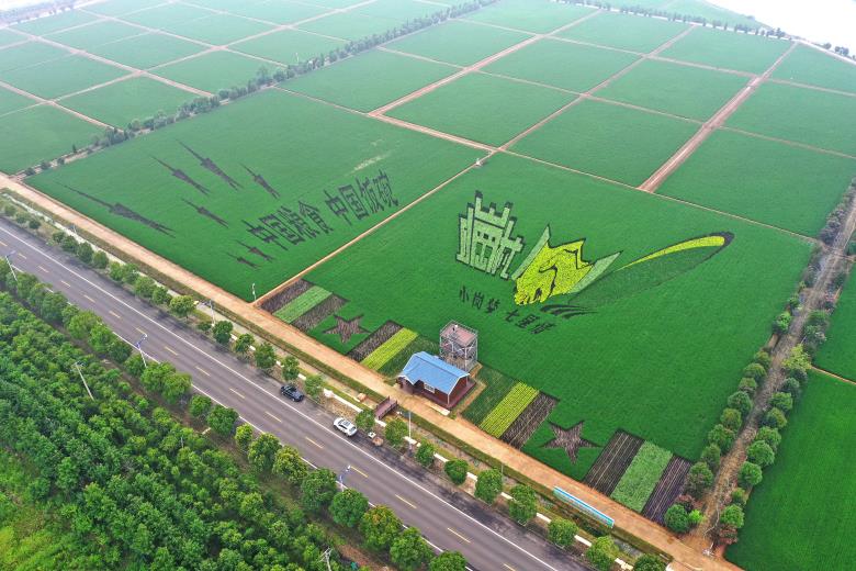 20220519105704238_jpYR2530